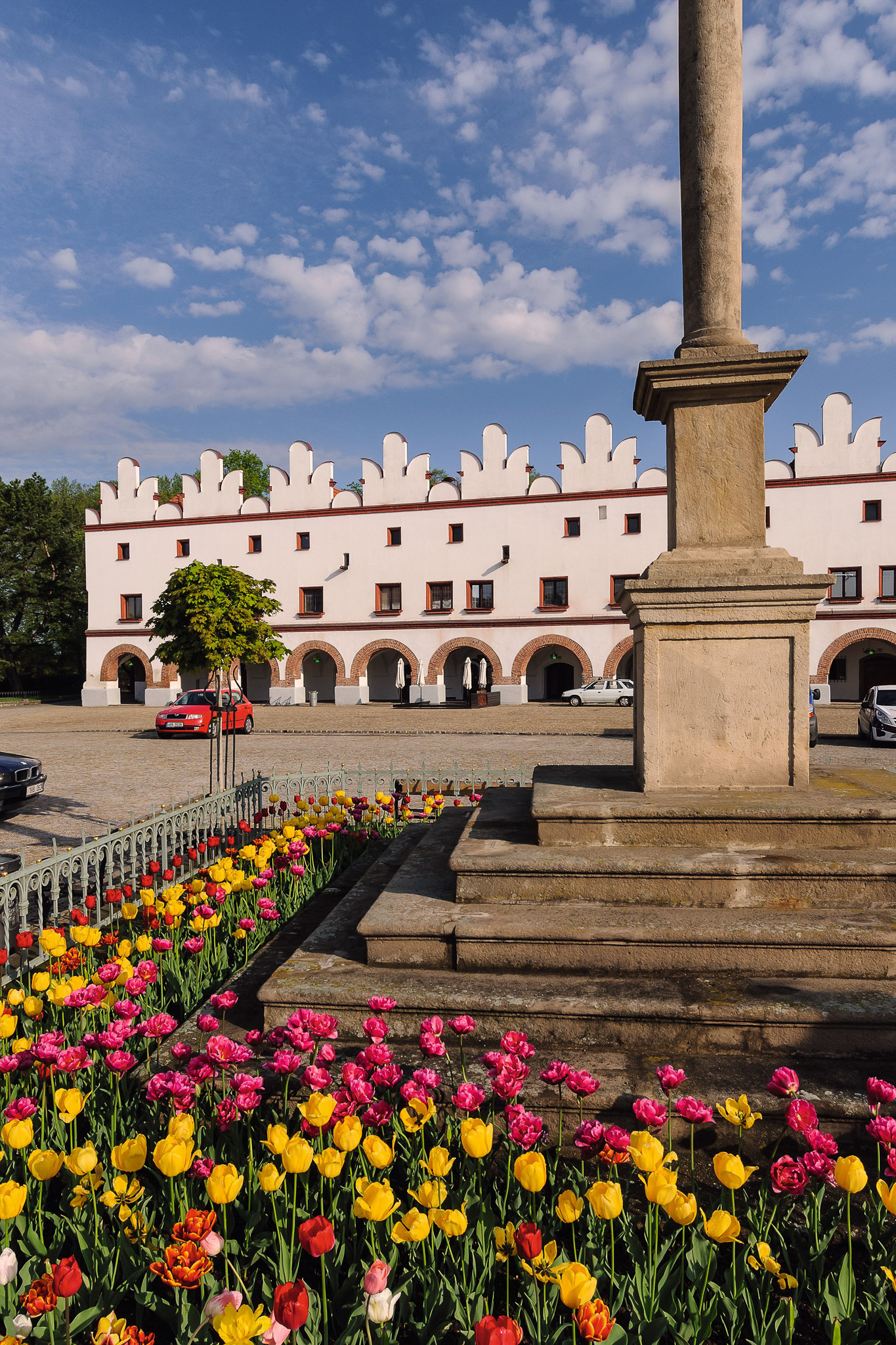 vlastovky_045